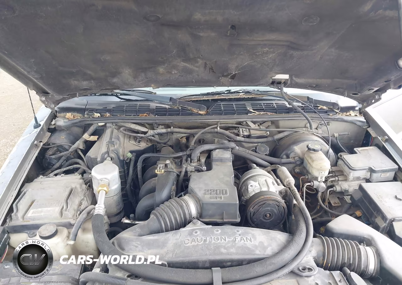 1999 Chevrolet S-10 Ls VIN:1GCCS1948XK159463 - 10