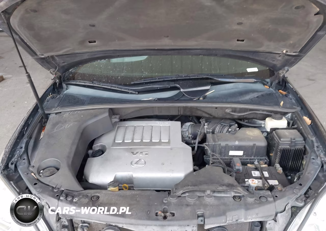 2007 Lexus Rx 350 VIN:2T2GK31U17C011614 - 10