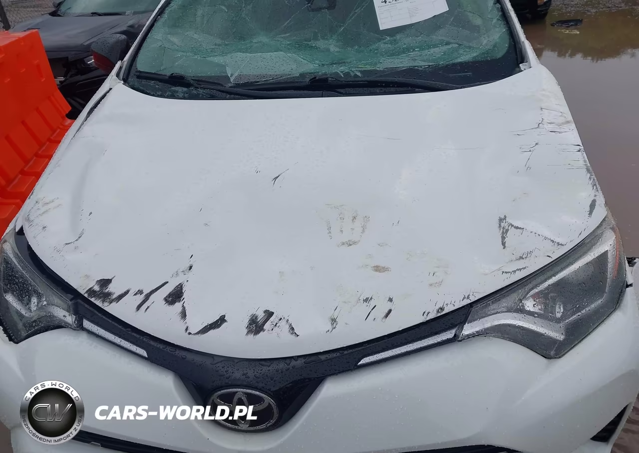 2017 Toyota Rav4 Le VIN:JTMZFREV1HJ121169 - 10