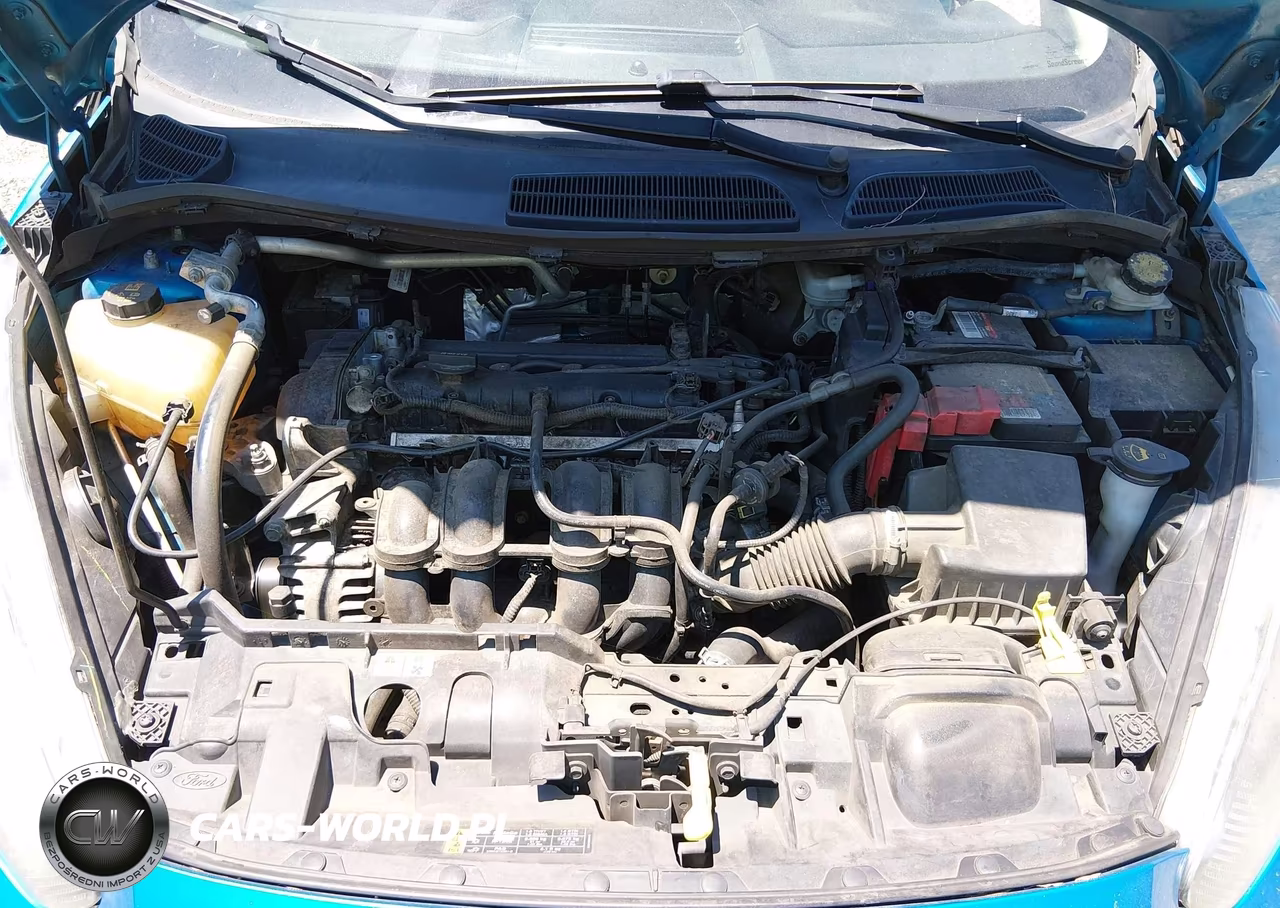 2015 Ford Fiesta Se VIN:3FADP4BJ0FM219739 - 10