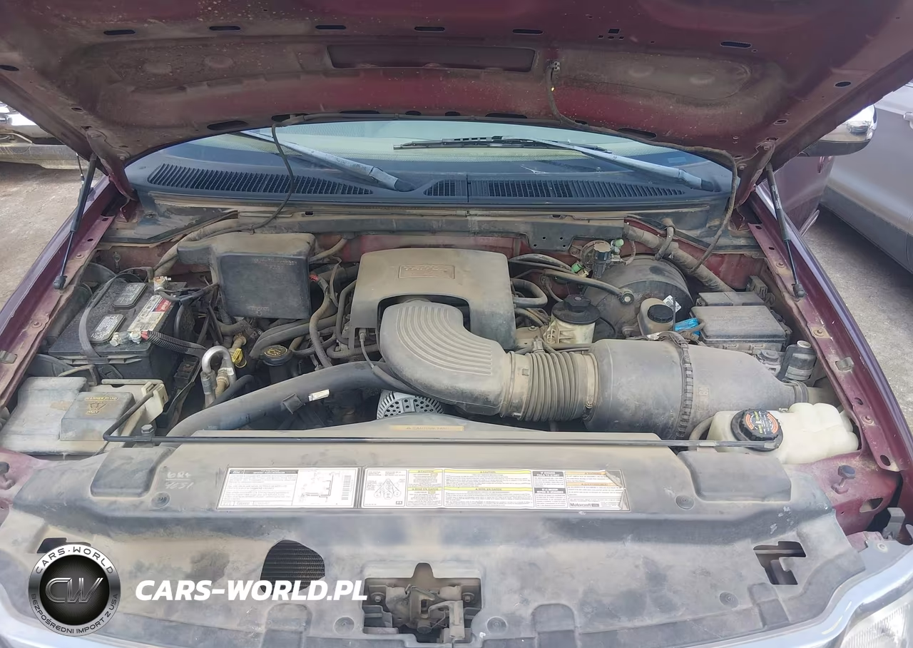 1998 Ford Expedition Eddie Bauer-Xlt VIN:1FMRU17L6WLA86659 - 10