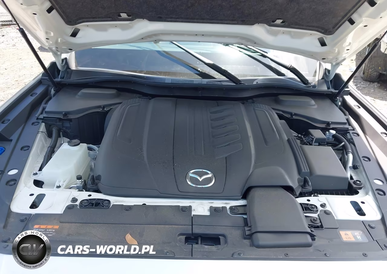 2024 Mazda Cx-90 3.3 Turbo Premium Plus VIN:JM3KKEHD6R1176881 - 10