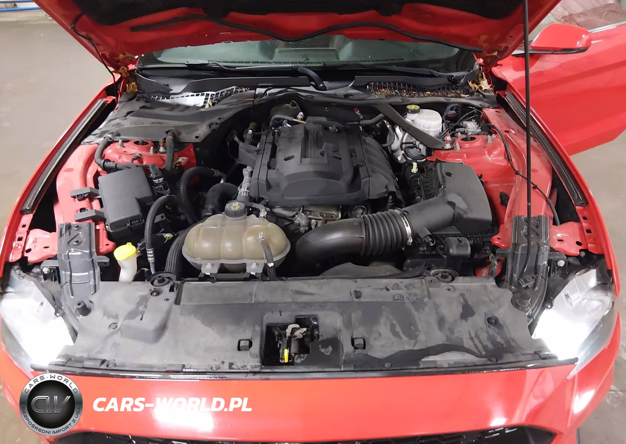 2018 Ford Mustang Ecoboost Premium VIN:1FATP8UH3J5155563 - 10