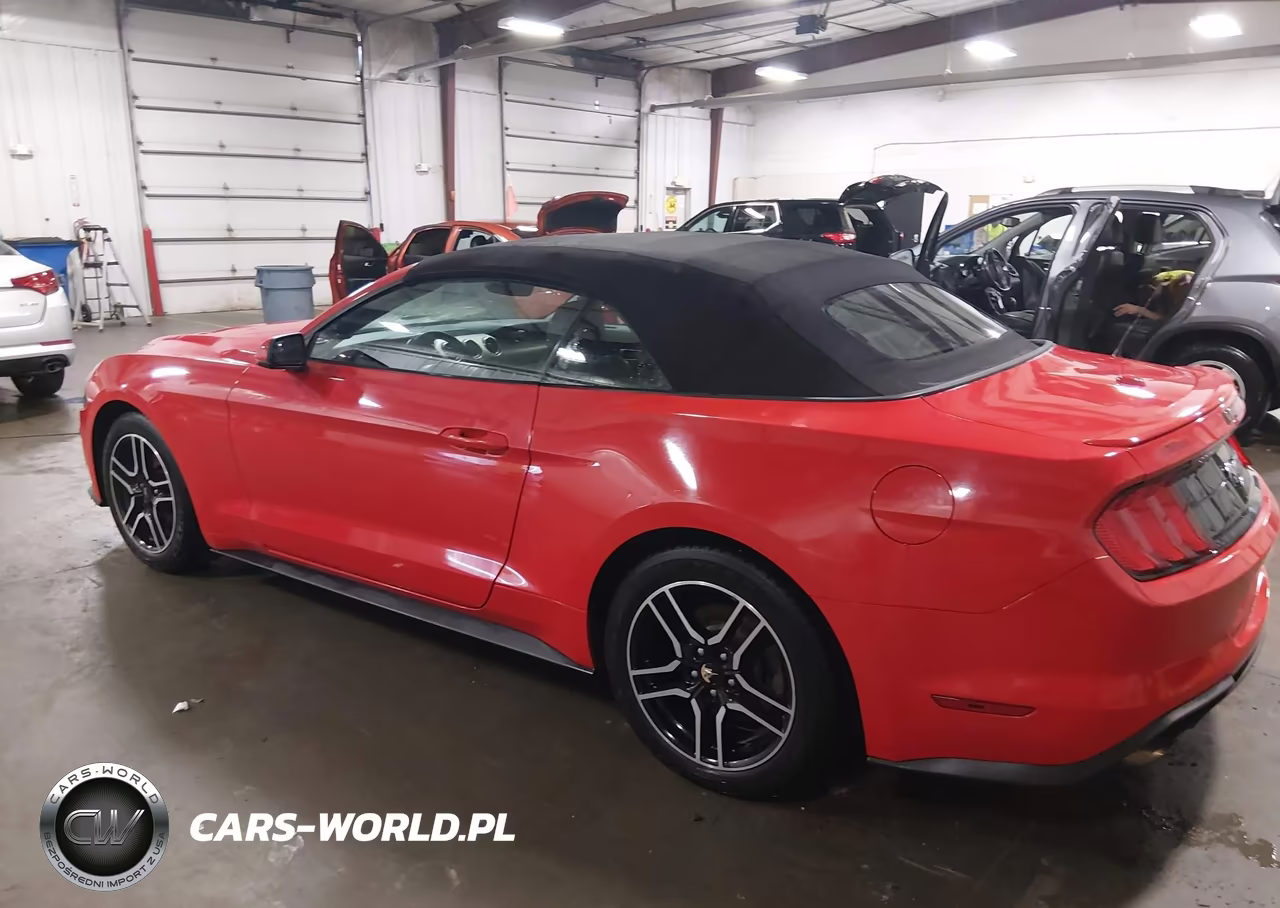 2018 Ford Mustang Ecoboost Premium VIN:1FATP8UH3J5155563 - 3