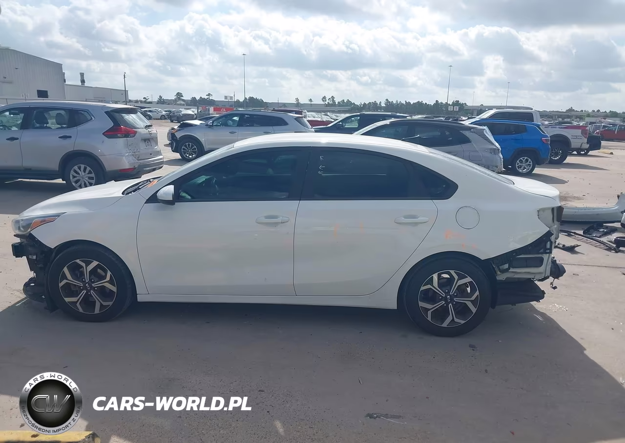 2019 Kia Forte Lxs VIN:3KPF24AD6KE060923 - 15