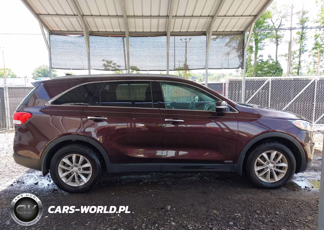 2016 Kia Sorento 2.4L Lx VIN:5XYPGDA39GG016566 - 13