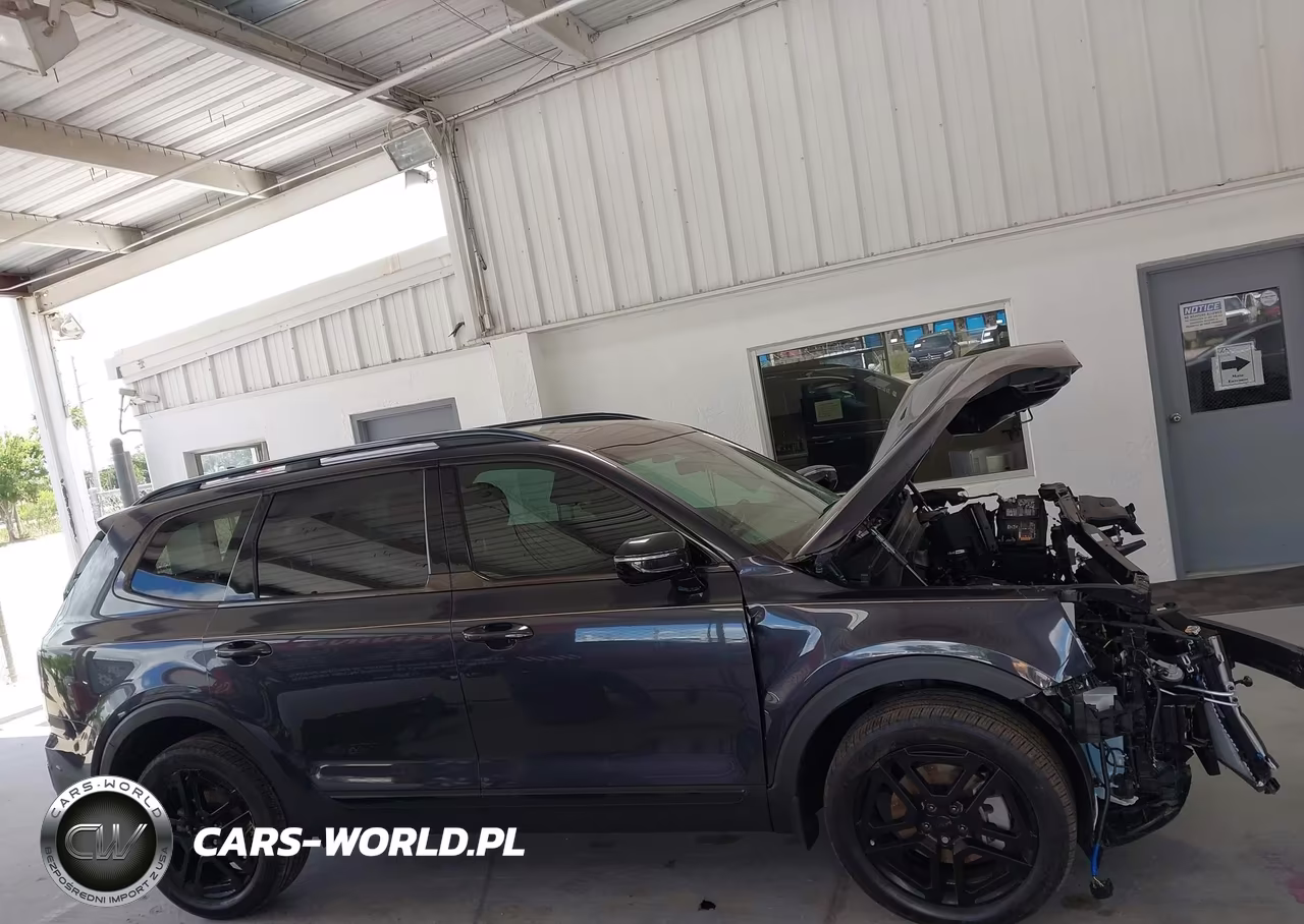 2025 Kia Telluride Sx Prestige X-Line VIN:5XYP5DGC0SG684777 - 14