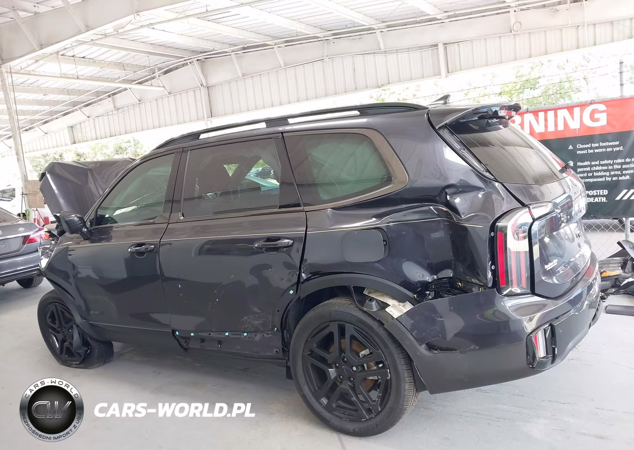 2025 Kia Telluride Sx Prestige X-Line VIN:5XYP5DGC0SG684777 - 15