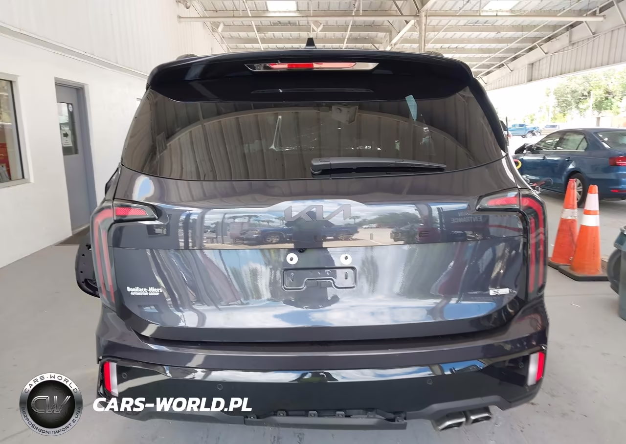 2025 Kia Telluride Sx Prestige X-Line VIN:5XYP5DGC0SG684777 - 17