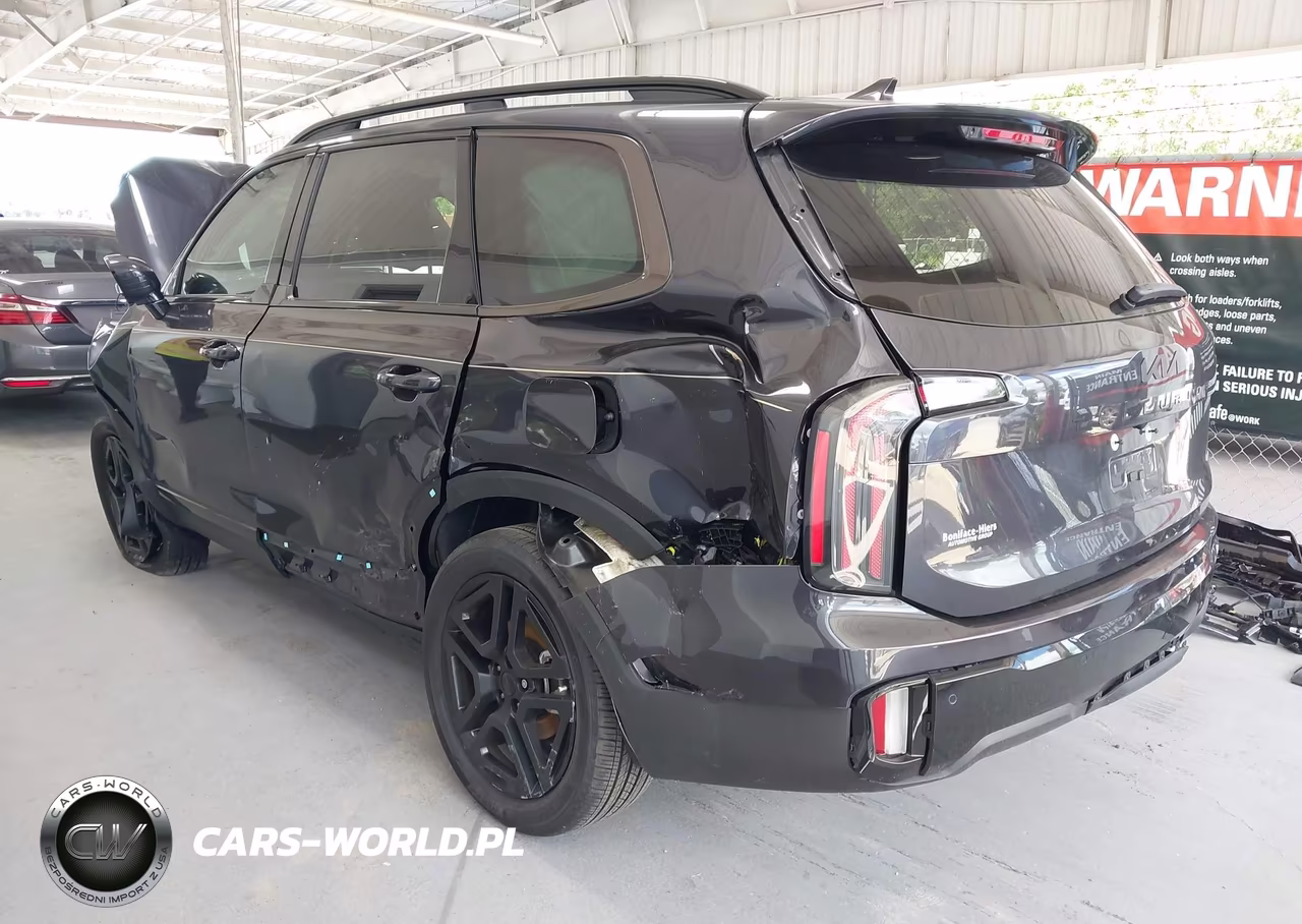 2025 Kia Telluride Sx Prestige X-Line VIN:5XYP5DGC0SG684777 - 3