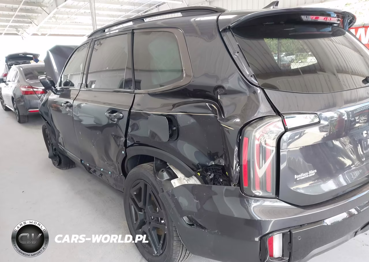 2025 Kia Telluride Sx Prestige X-Line VIN:5XYP5DGC0SG684777 - 6