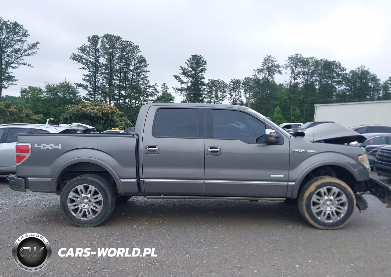 2013 Ford F-150 Platinum VIN:1FTFW1ET8DFA99591 - 13