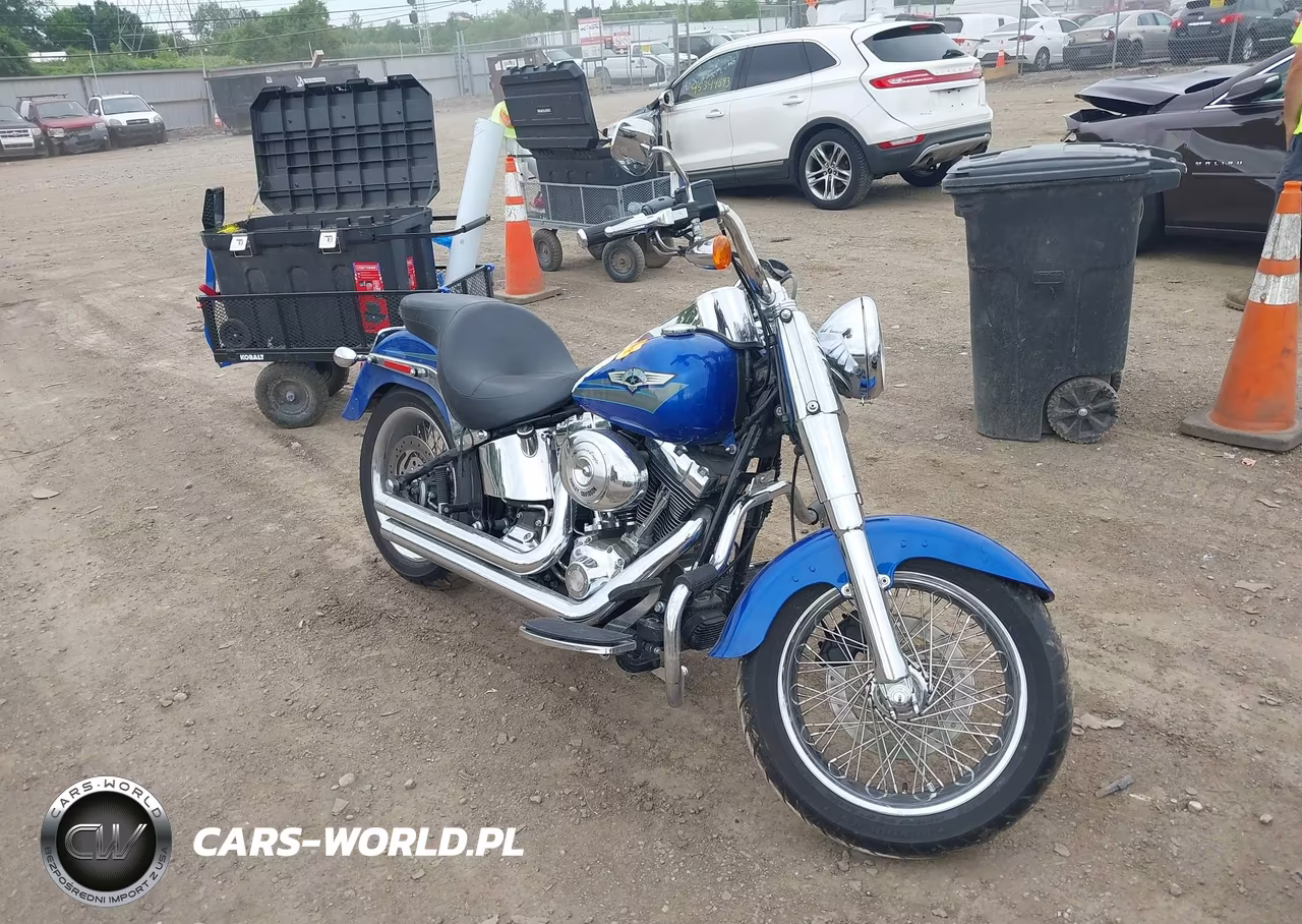 2008 Harley-Davidson Flstf