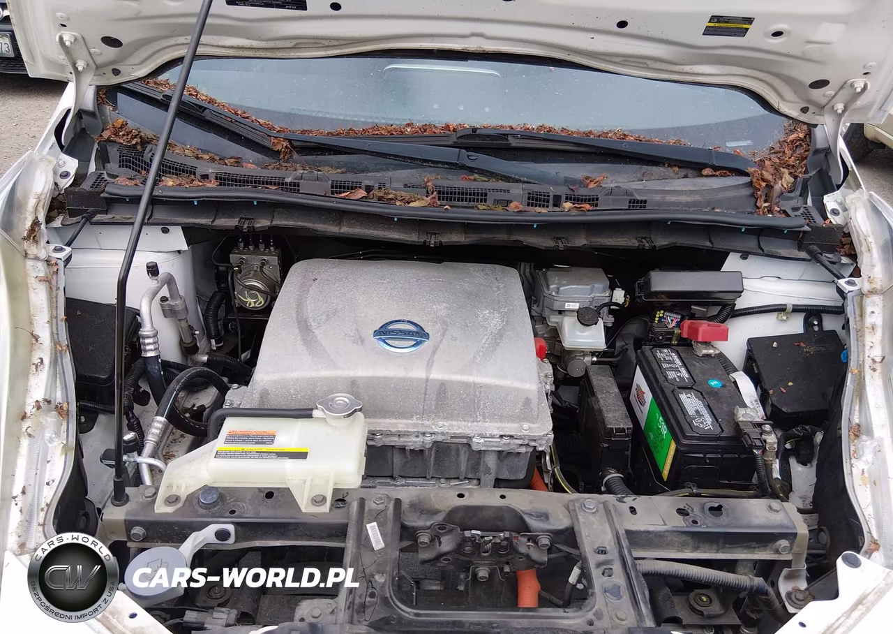2013 Nissan Leaf S VIN:1N4AZ0CPXDC400824 - 10