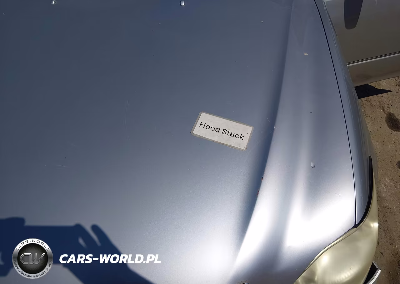 2006 Lexus Ls 430 VIN:JTHBN36F165049127 - 10
