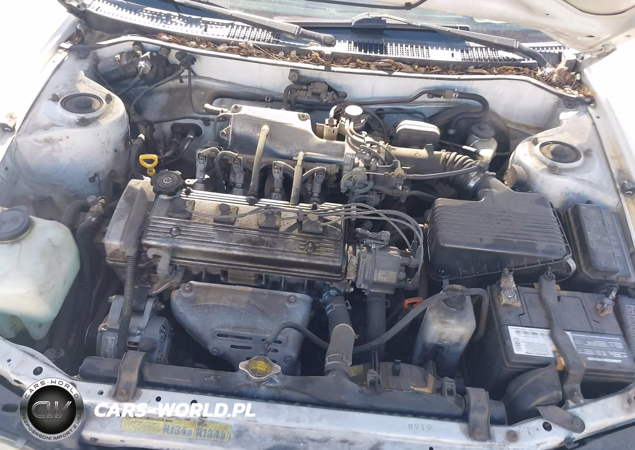 1995 Toyota Corolla Le-Dx VIN:1NXAE09B0SZ333400 - 10