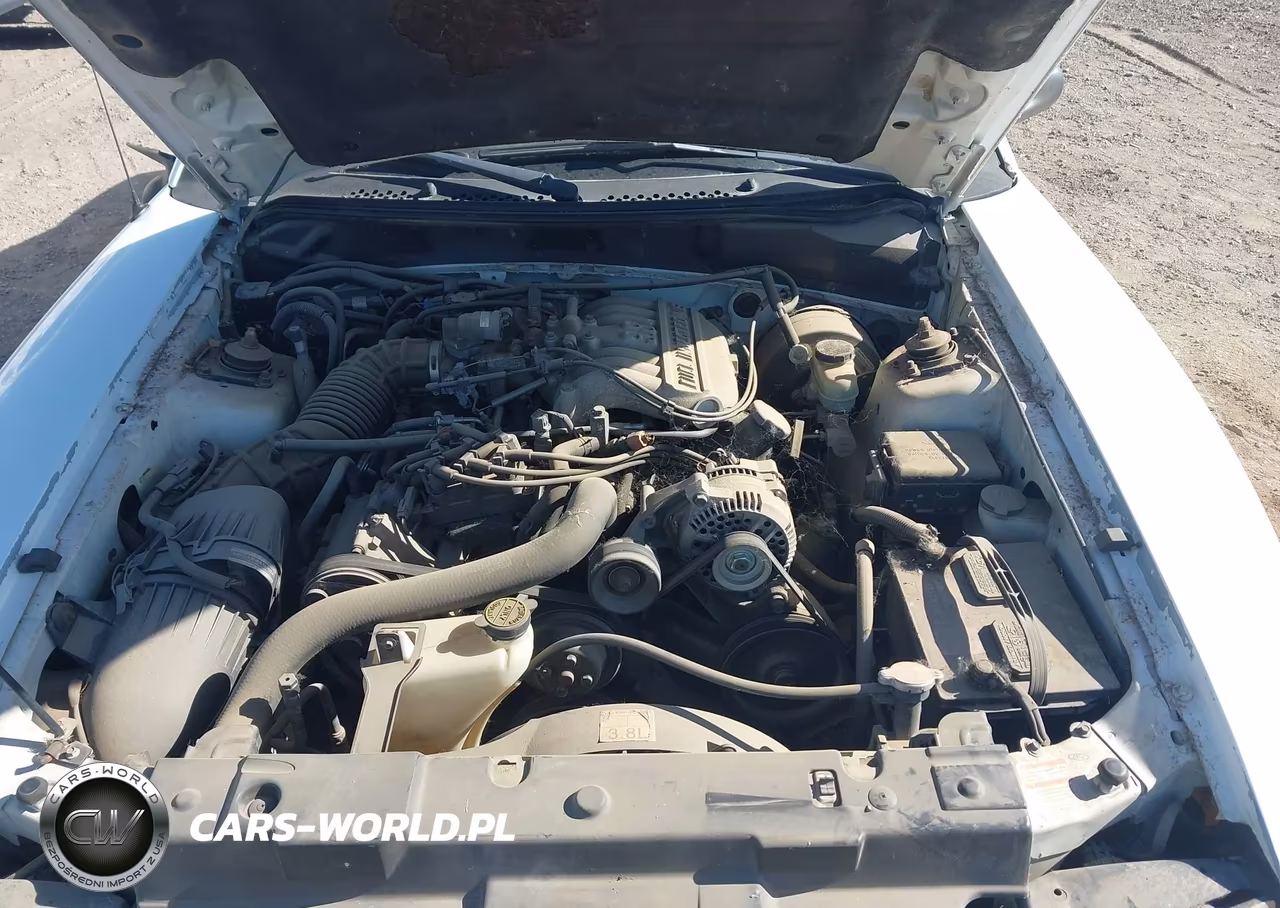 1998 Ford Mustang VIN:1FAFP4041WF198082 - 10