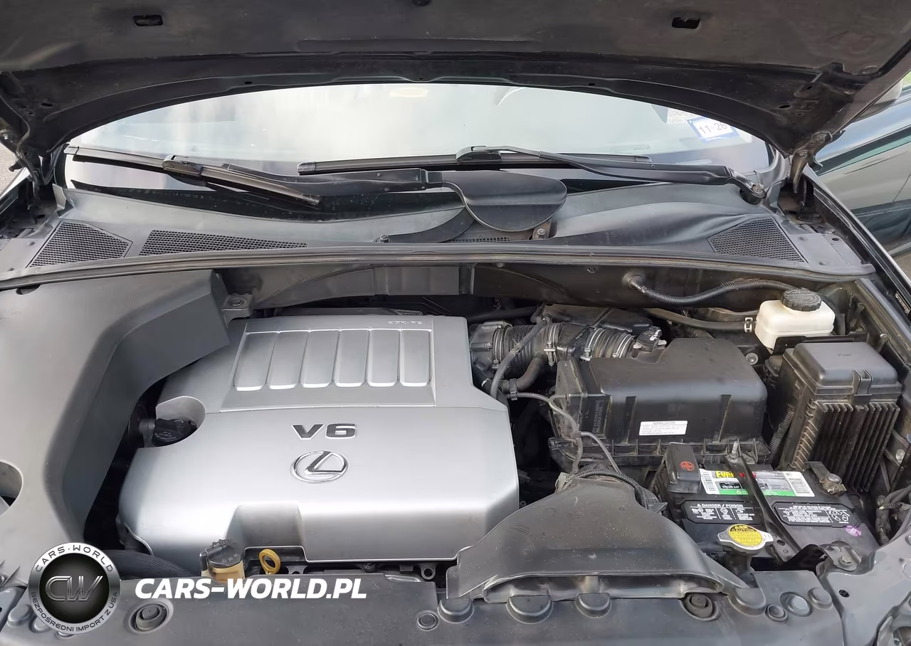 2007 Lexus Rx 350 VIN:2T2GK31U97C023669 - 10