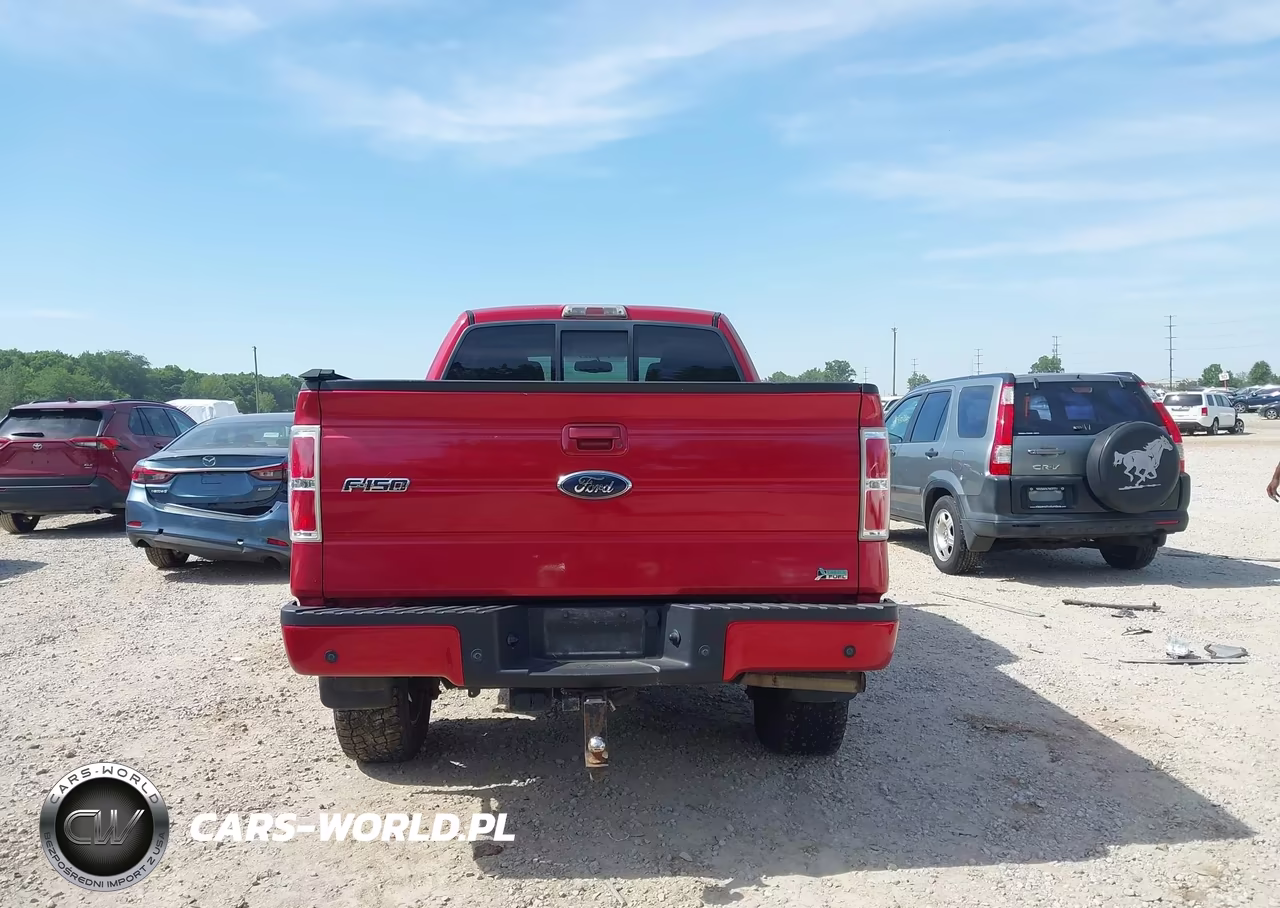 2010 Ford F-150 Fx4 VIN:1FTFX1EV6AFA26939 - 16