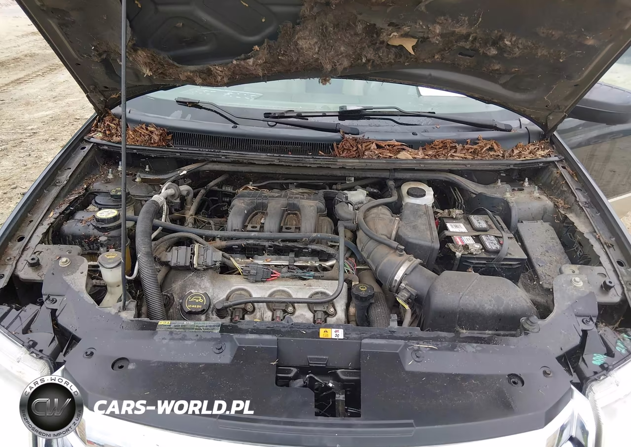 2008 Ford Taurus X Eddie Bauer VIN:1FMDK07W38GA25916 - 10