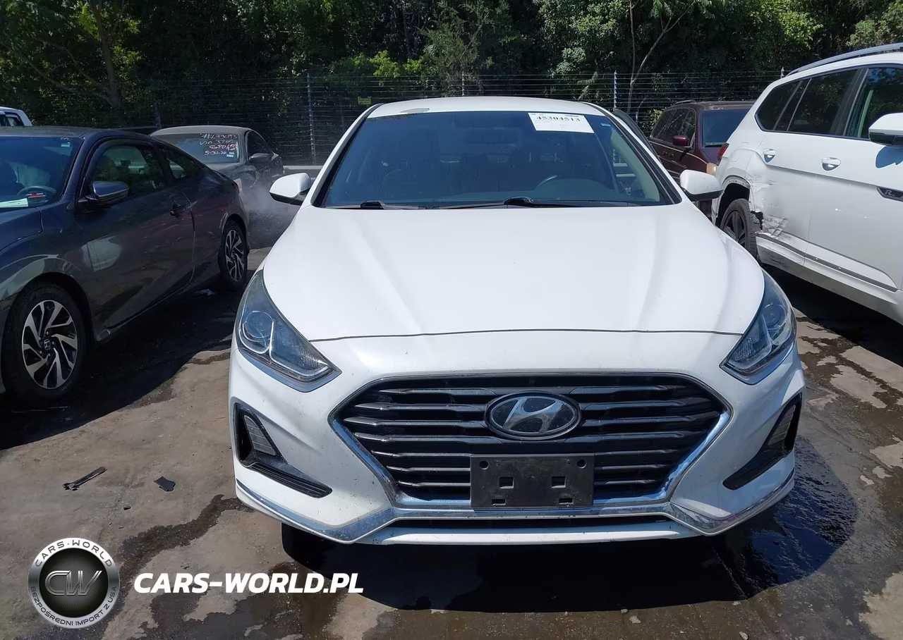 2019 Hyundai Sonata Se VIN:5NPE24AF6KH787715 - 12