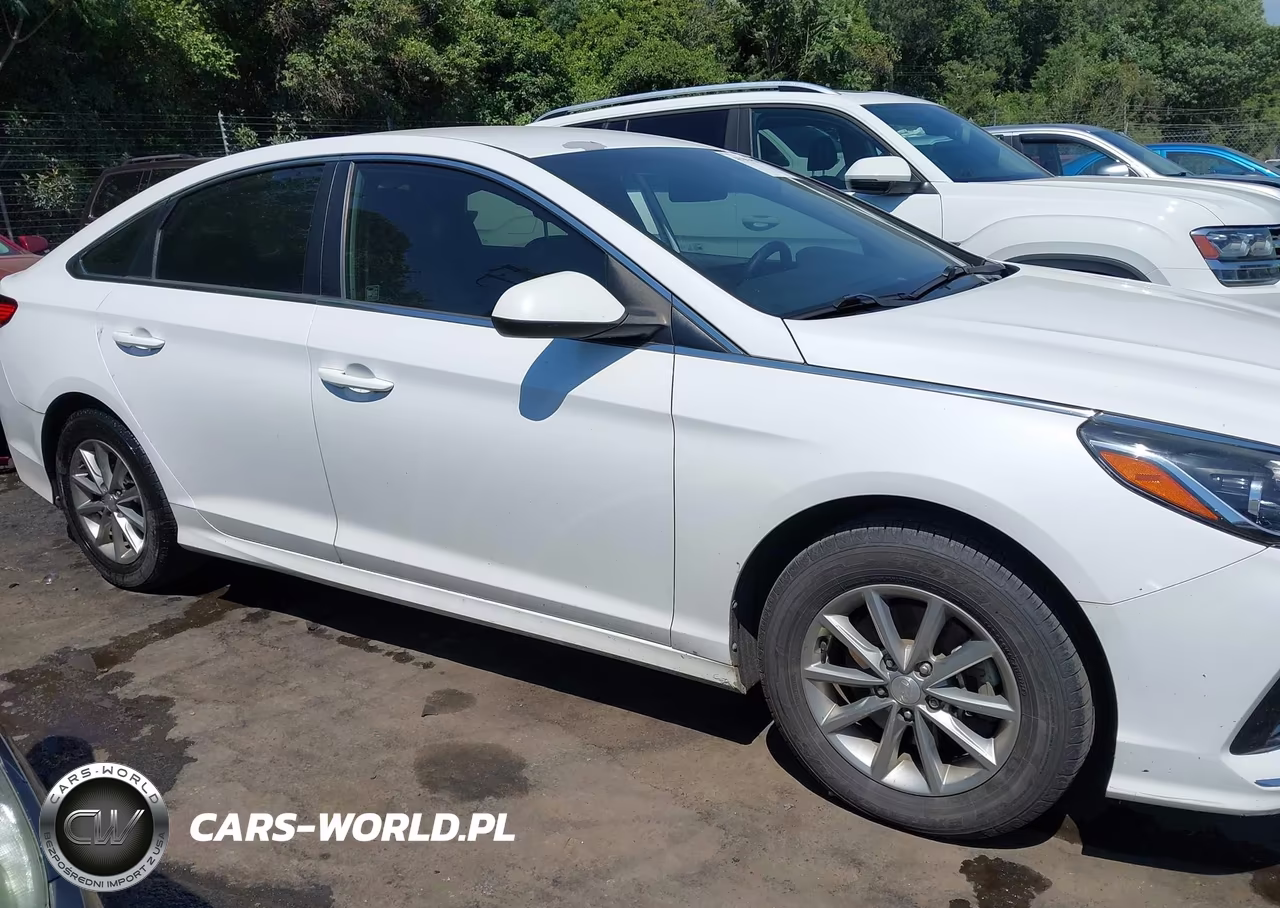 2019 Hyundai Sonata Se VIN:5NPE24AF6KH787715 - 13