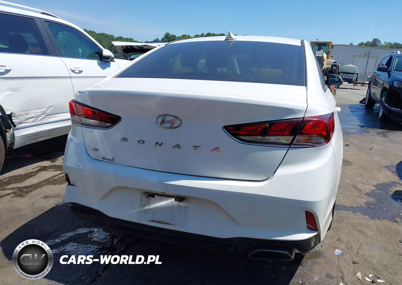 2019 Hyundai Sonata Se VIN:5NPE24AF6KH787715 - 16