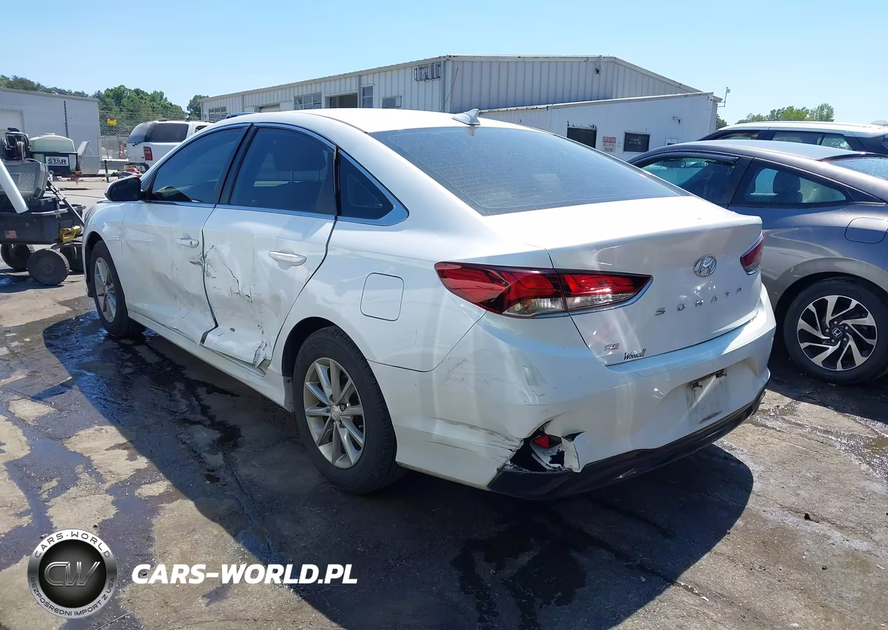 2019 Hyundai Sonata Se VIN:5NPE24AF6KH787715 - 3