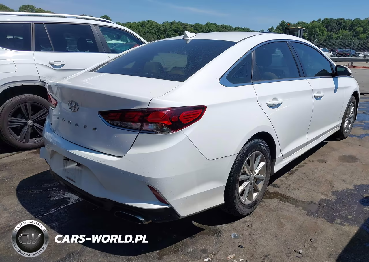 2019 Hyundai Sonata Se VIN:5NPE24AF6KH787715 - 4