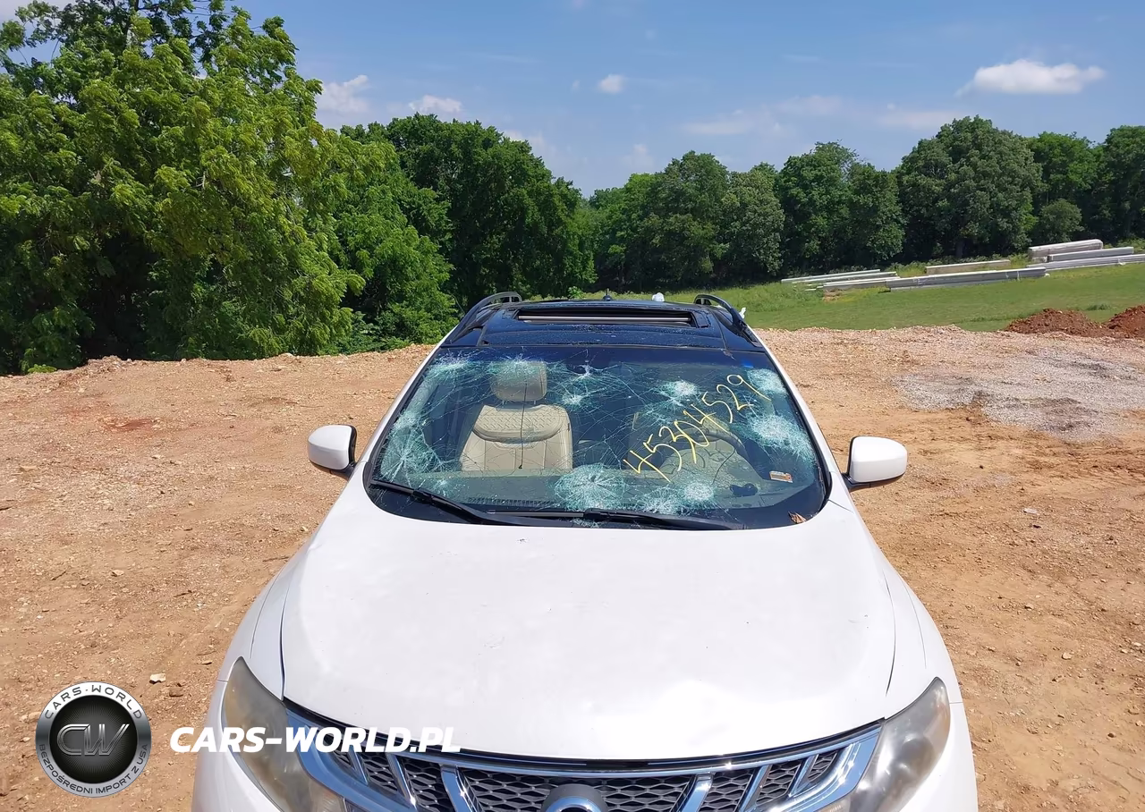 2013 Nissan Murano Sl VIN:JN8AZ1MW0DW302359 - 6