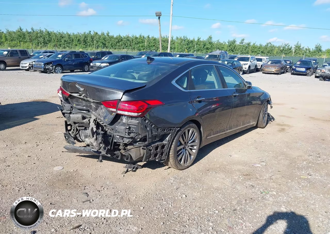 2017 Genesis G80 5.0 Ultimate VIN:KMHGN4JF9HU213376 - 4