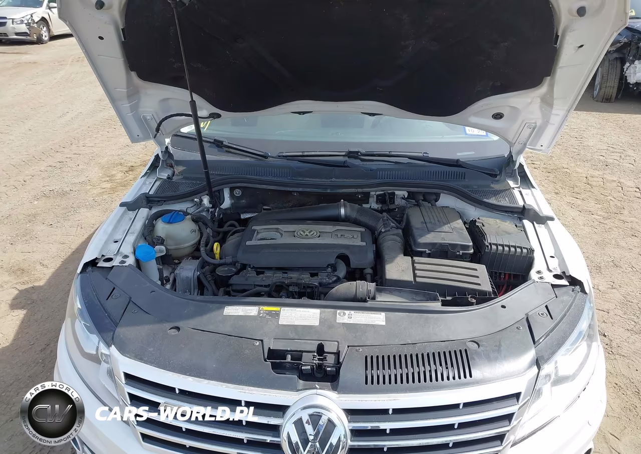 2014 Volkswagen Cc 2.0T R-Line VIN:WVWBN7AN9EE519667 - 10