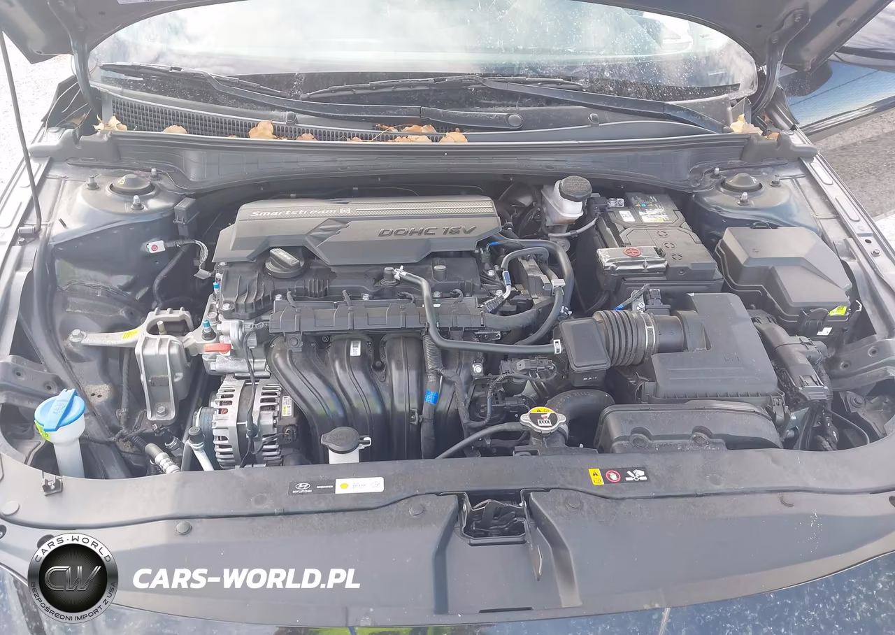 2024 Hyundai Elantra Se VIN:KMHLL4DGXRU799452 - 10