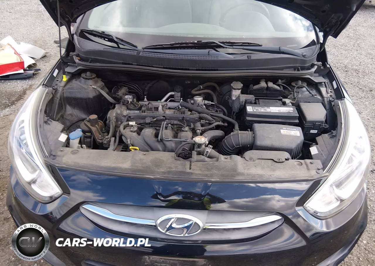 2017 Hyundai Accent Se VIN:KMHCT4AE3HU375290 - 10