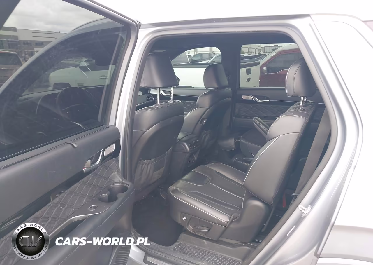 2020 Hyundai Palisade Limited VIN:KM8R5DHE2LU067238 - 8