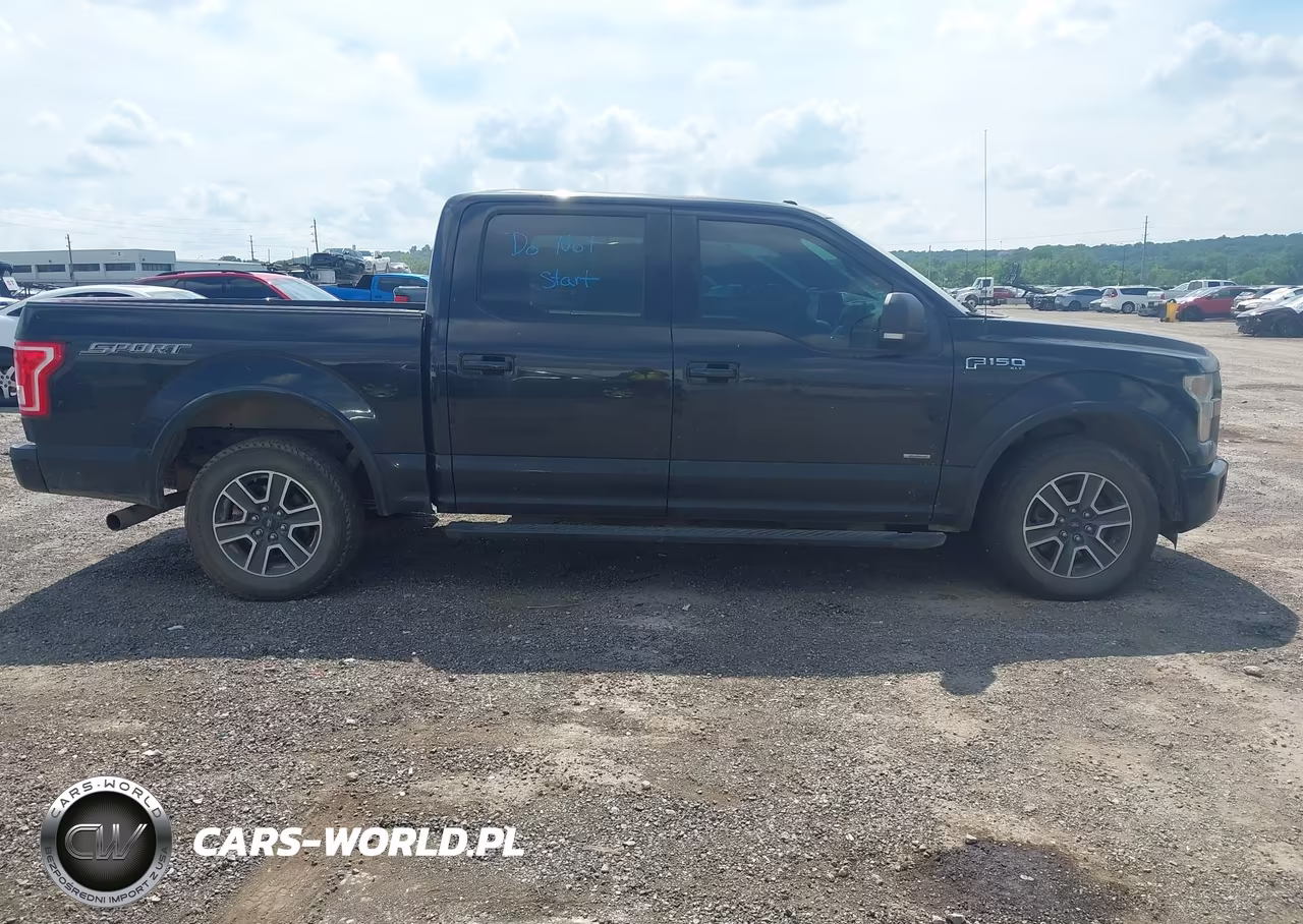 2015 Ford F-150 Xlt VIN:1FTEW1CP1FKF21731 - 13