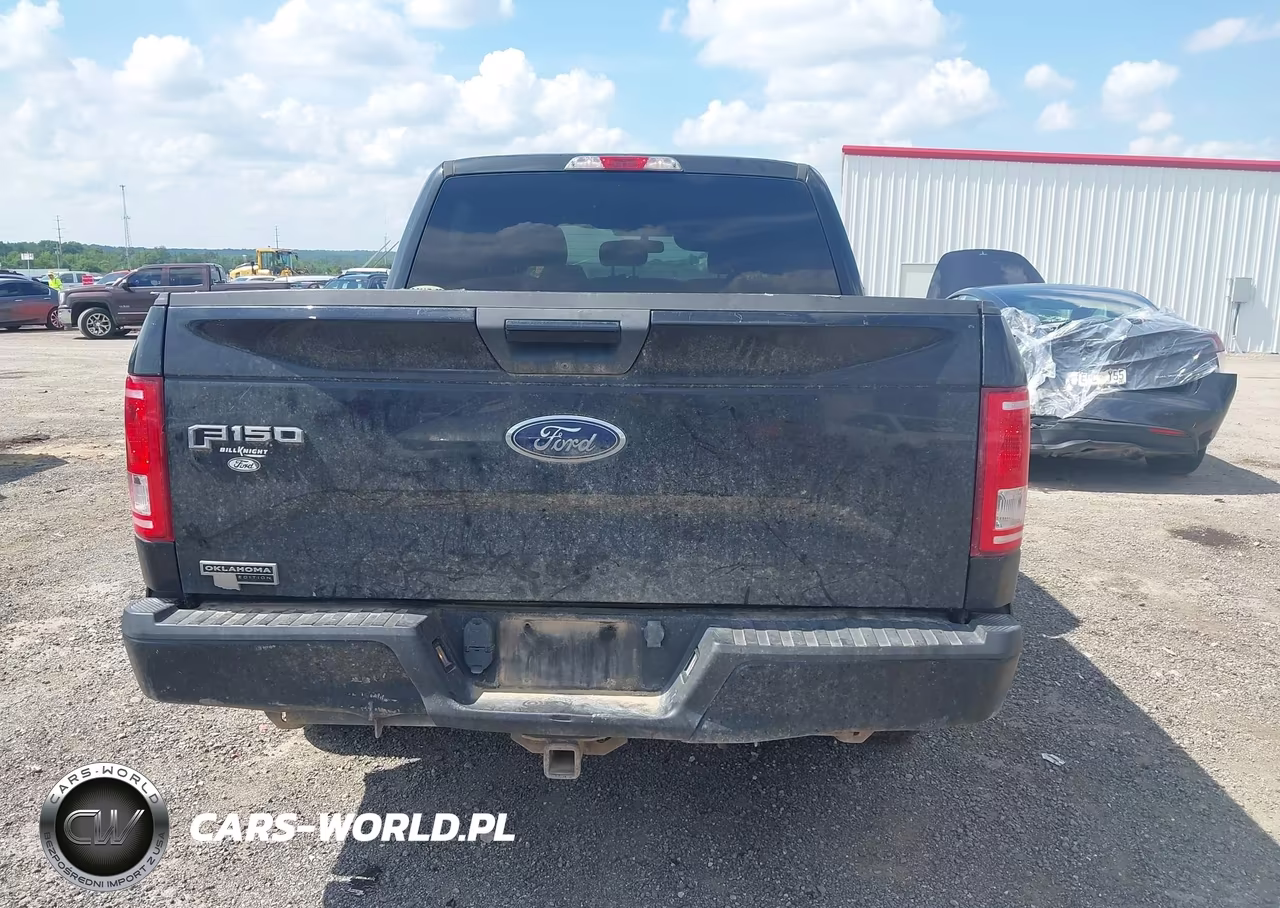 2015 Ford F-150 Xlt VIN:1FTEW1CP1FKF21731 - 16