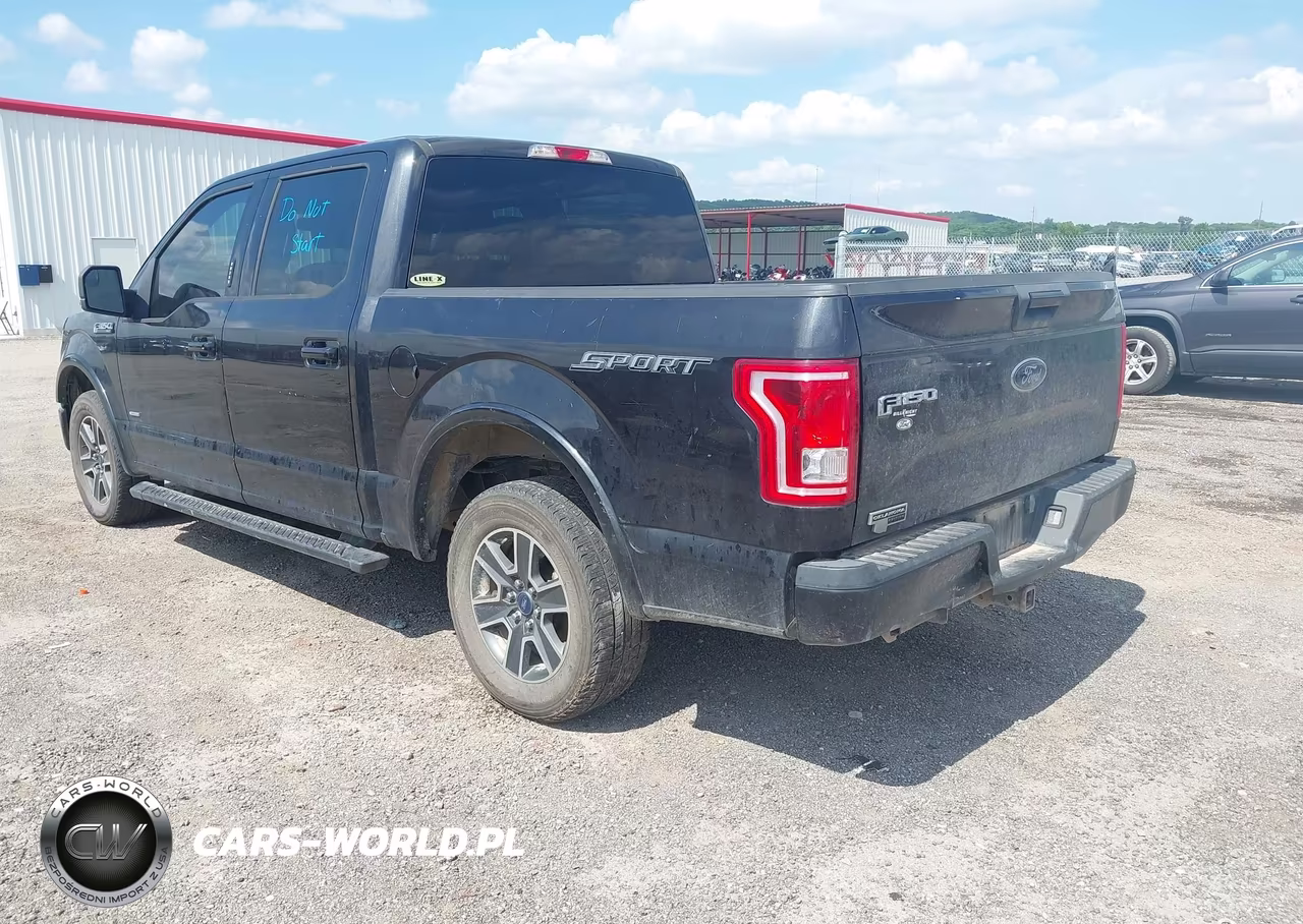 2015 Ford F-150 Xlt VIN:1FTEW1CP1FKF21731 - 3