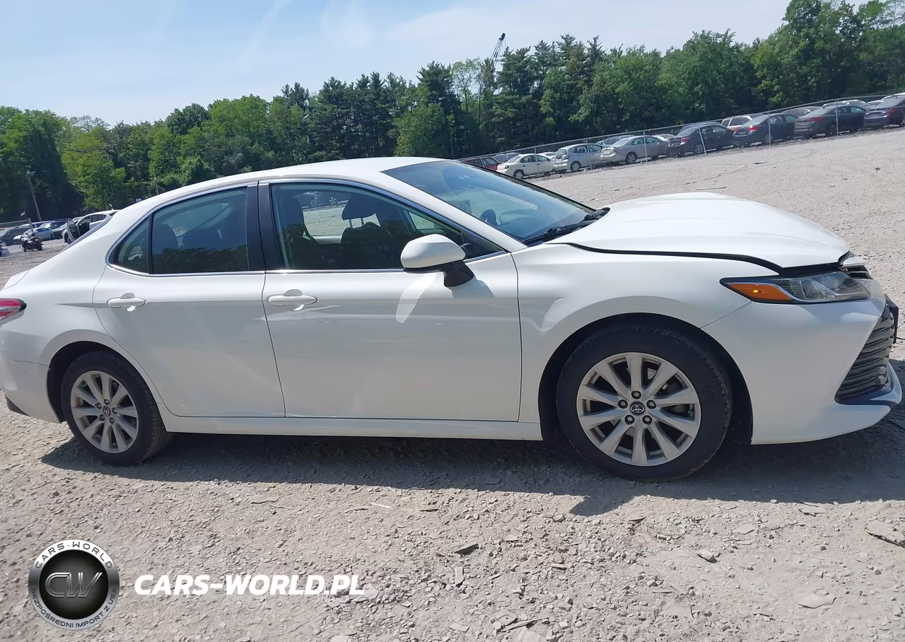 2020 Toyota Camry Le VIN:4T1C11AK1LU866962 - 13