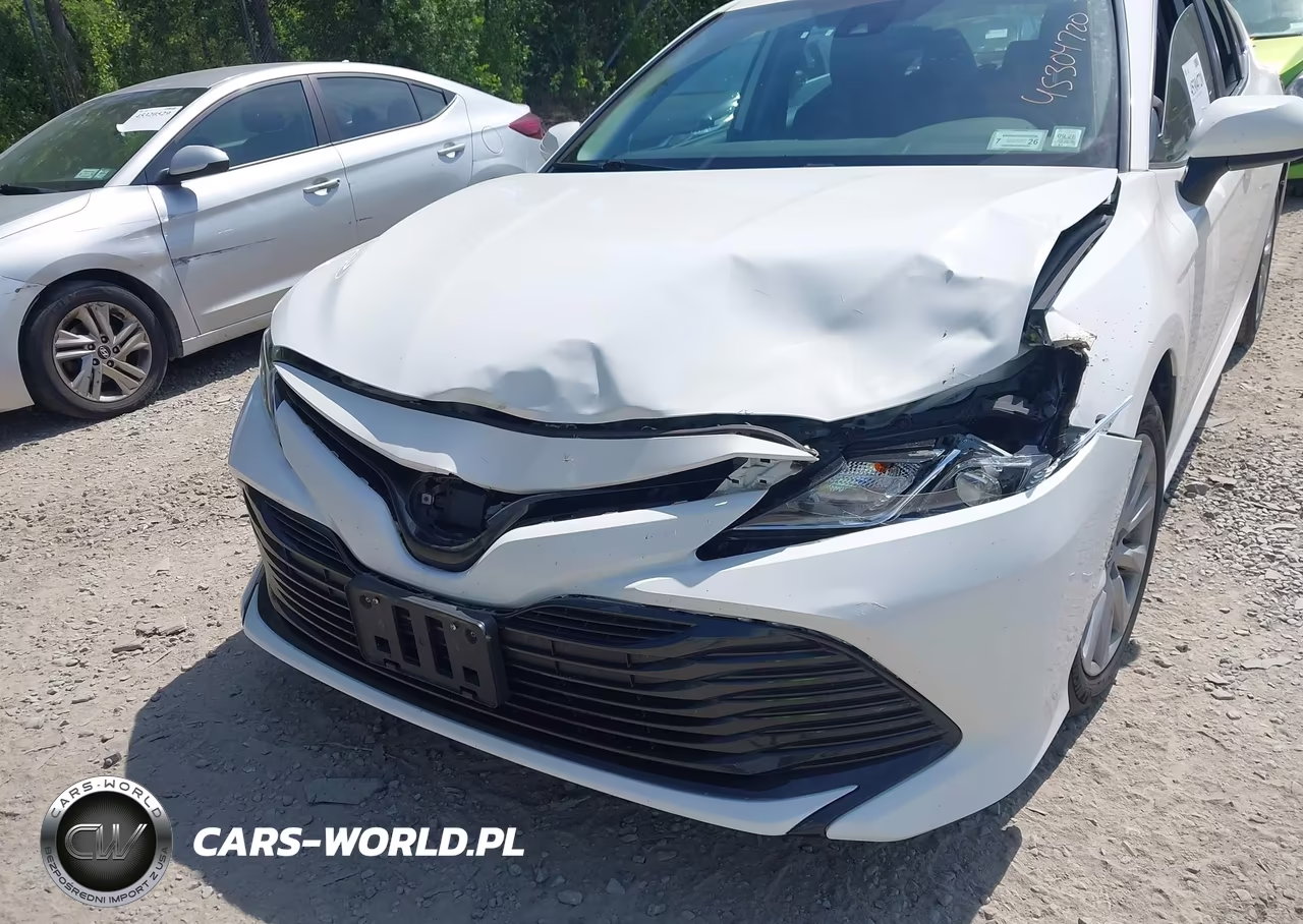 2020 Toyota Camry Le VIN:4T1C11AK1LU866962 - 17