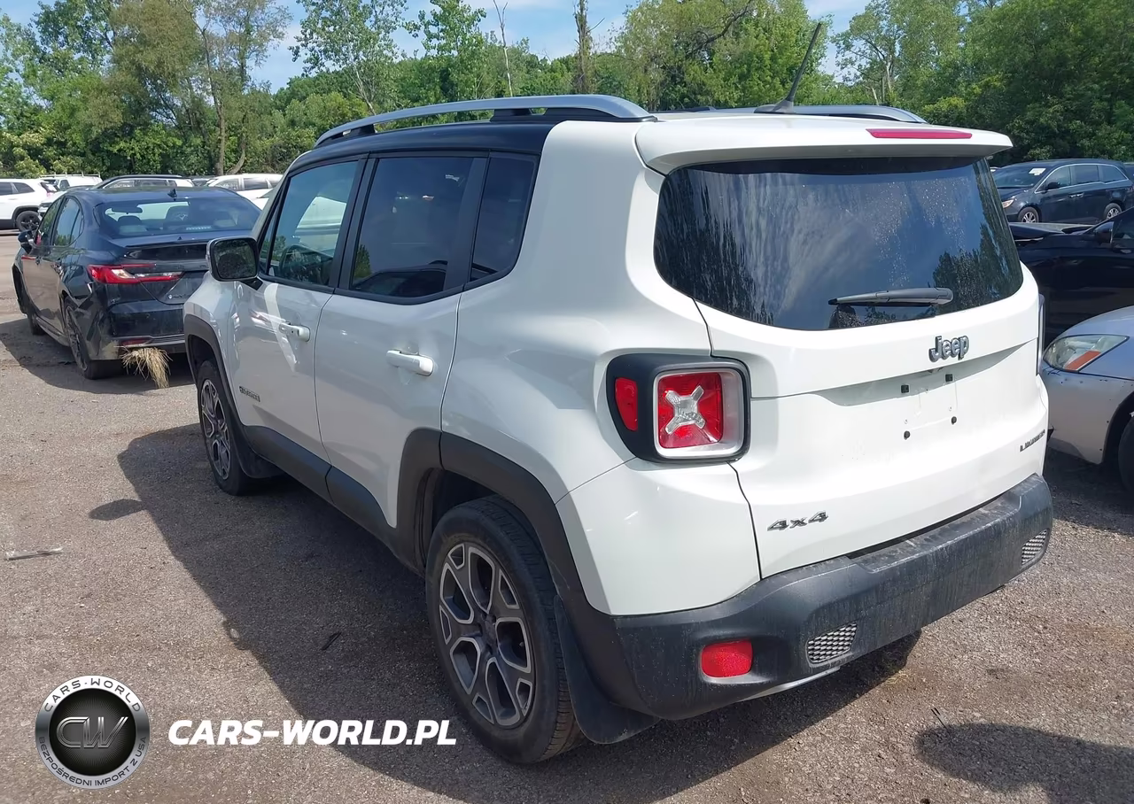 2015 Jeep Renegade Limited VIN:ZACCJBDT0FPB53320 - 3