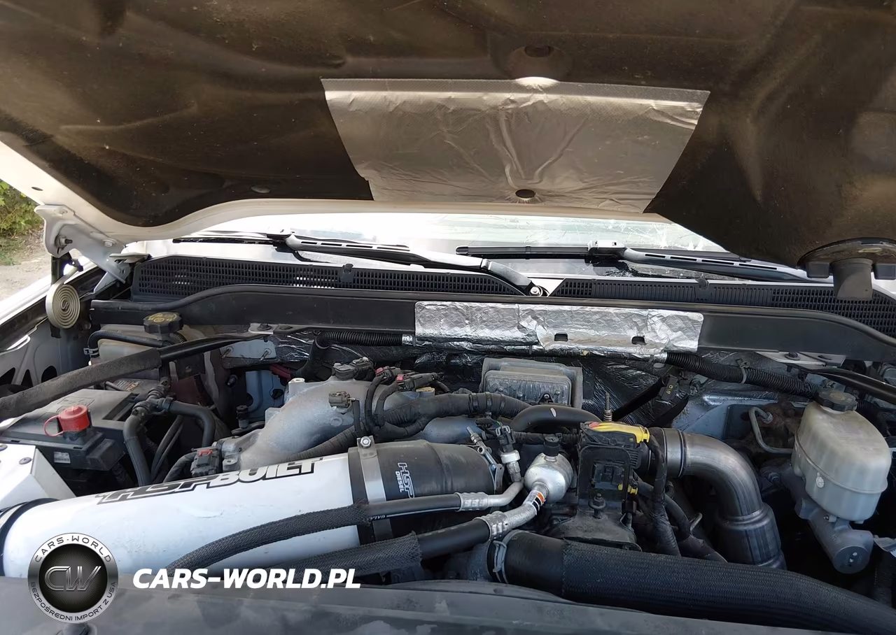2018 Chevrolet Silverado 2500Hd Ltz VIN:1GC1KWEY8JF106999 - 10