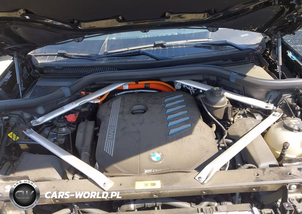 2021 BMW X5 Phev xDrive45E VIN:5UXTA6C04M9H77048 - 10