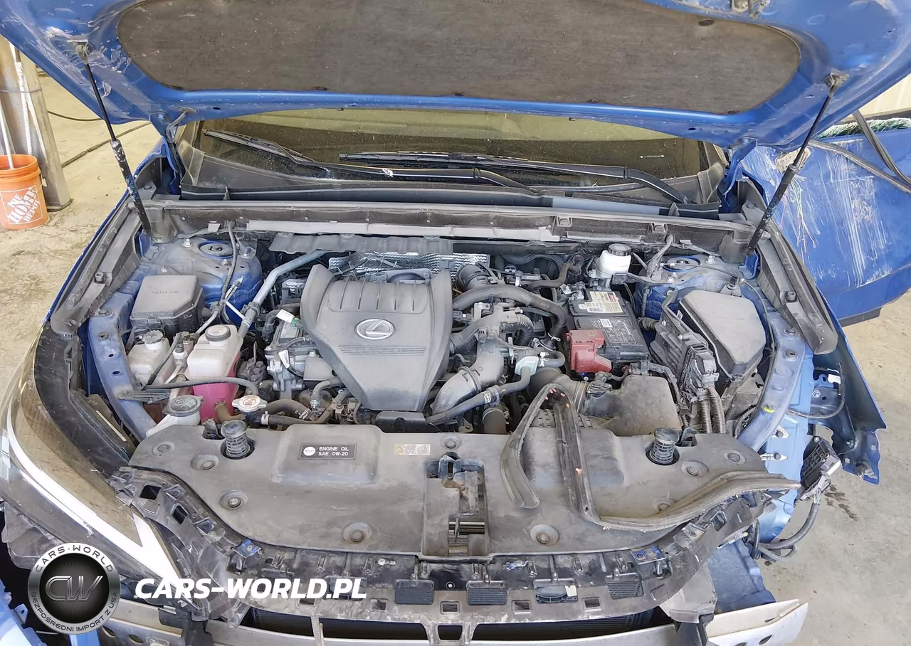 2022 Lexus Nx 350 Premium VIN:JTJGGCEZ1N2004988 - 10