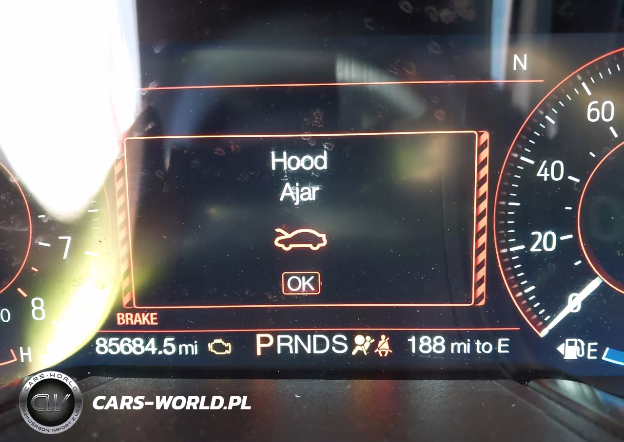 2019 Ford Mustang Gt Premium VIN:1FA6P8CF3K5205358 - 15
