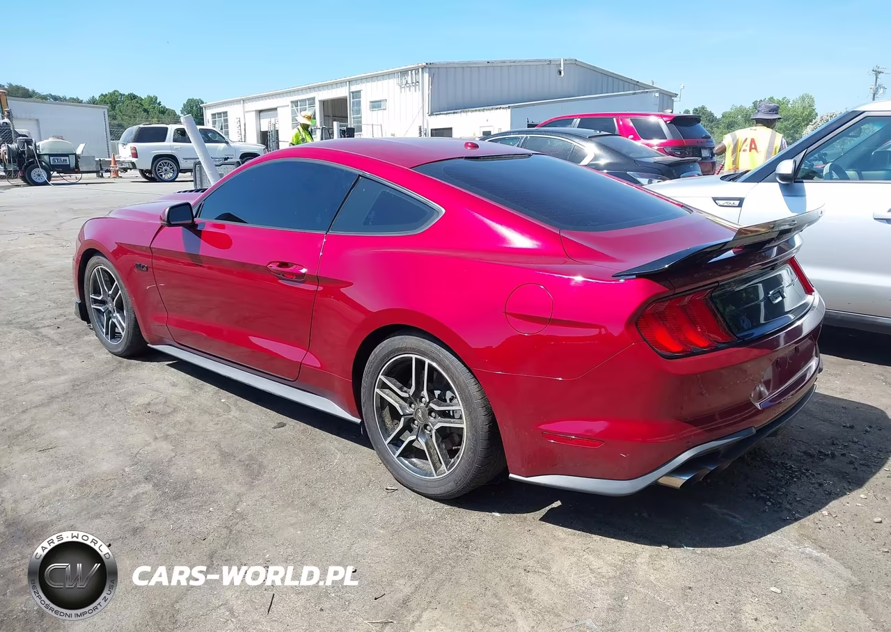 2019 Ford Mustang Gt Premium VIN:1FA6P8CF3K5205358 - 3