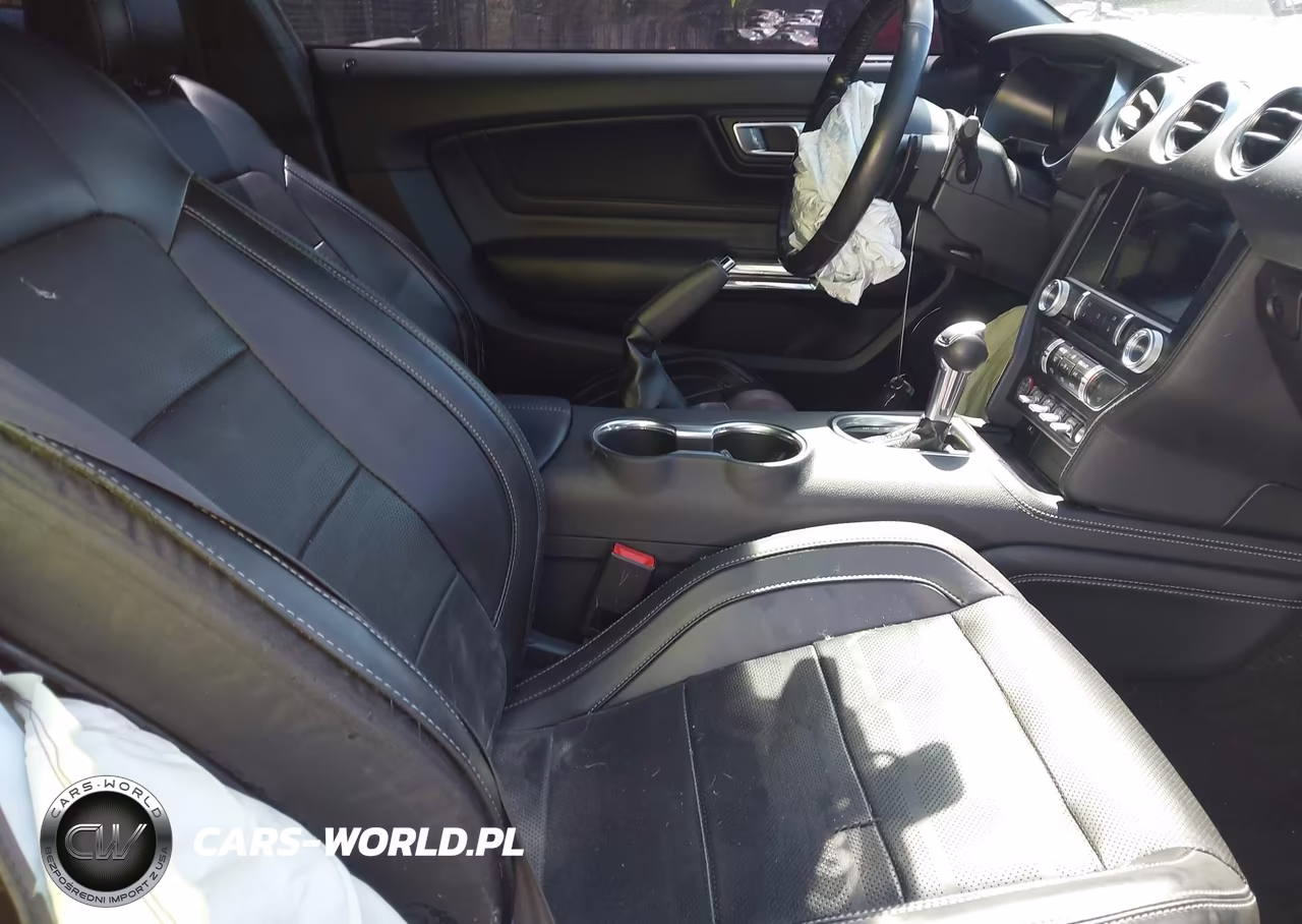 2019 Ford Mustang Gt Premium VIN:1FA6P8CF3K5205358 - 5