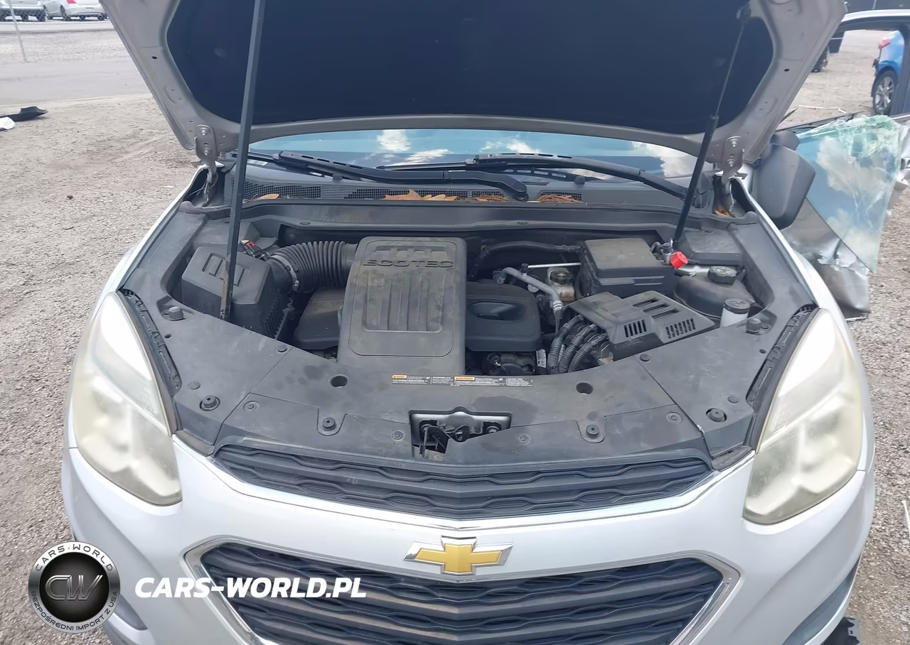 2017 Chevrolet Equinox Ls VIN:2GNALBEK1H1569755 - 10