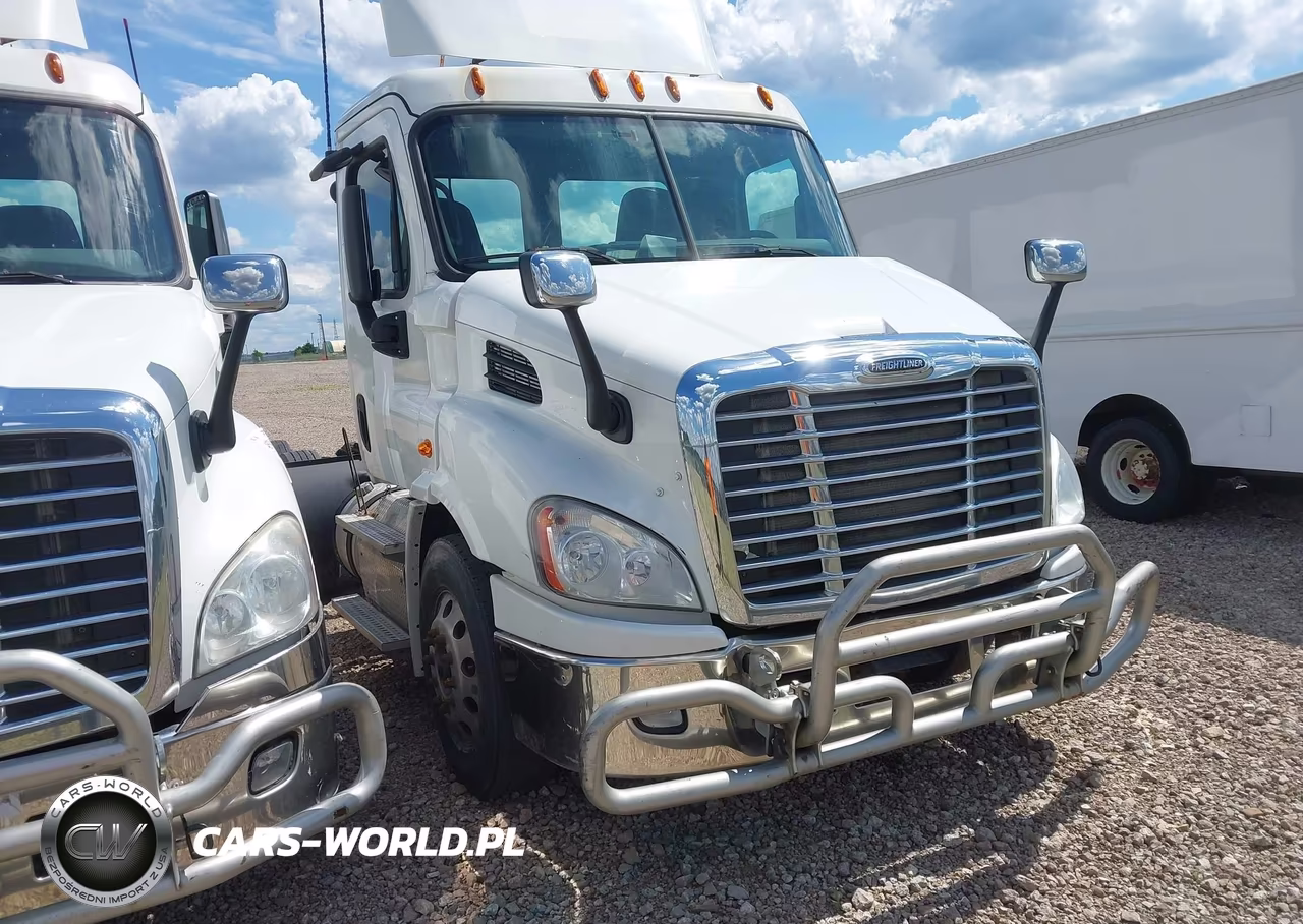 2015 Freightliner Cascadia 113
