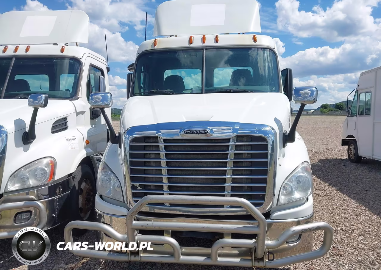 2015 Freightliner Cascadia 113 VIN:1FUJGBDV0FLBW4420 - 12